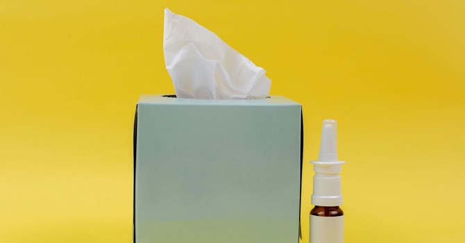Still Sneezing? Why Fall Allergies Are a Real Thing in Florida